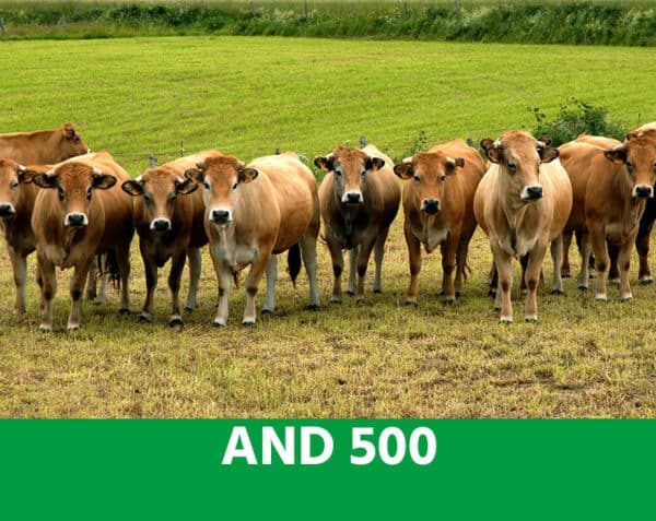 A.N.D. 500 - Développer l'immunité contre le parasitisme