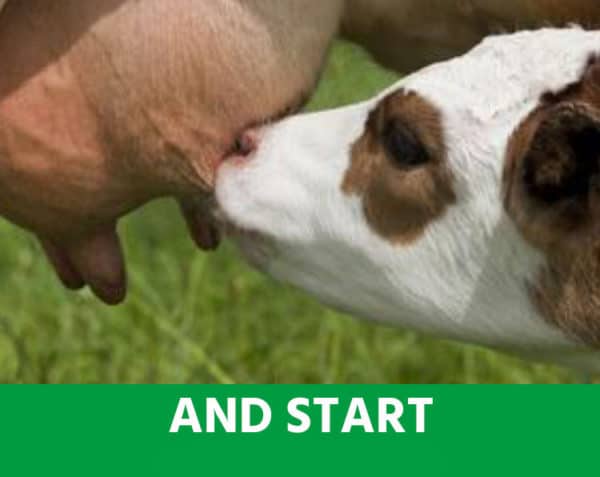 A.N.D. Start - Dès la naissance - Démarrage, appétit, croissance & stress