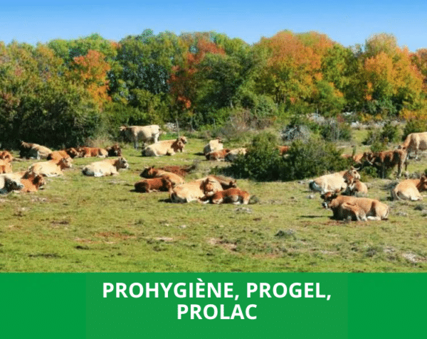 Prohygiène, Progel, Prolac : pour une hygiène de qualité