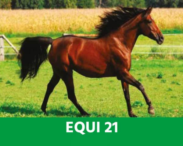 EQUI 21 - Défenses naturelles - Chevaux
