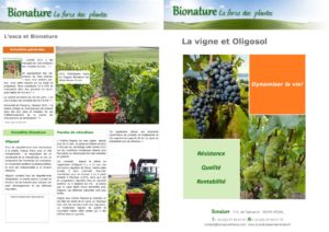 thumbnail of PUB OLIGOSOL VIGNE