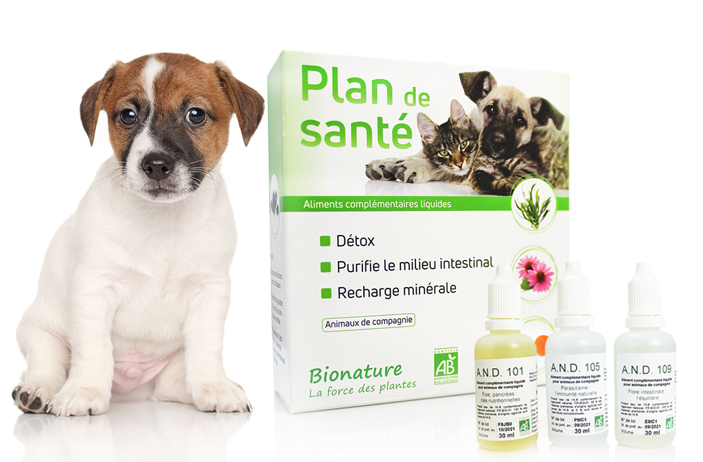 Le plan de santé - Chiens & Chats - Bionature - La Santé Animale ...