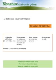 thumbnail of resultats_betterave_a_sucre