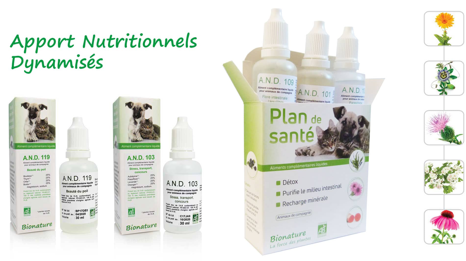 Quels sont les bienfaits de la gélule de flore equilibre pour les chiens et chats