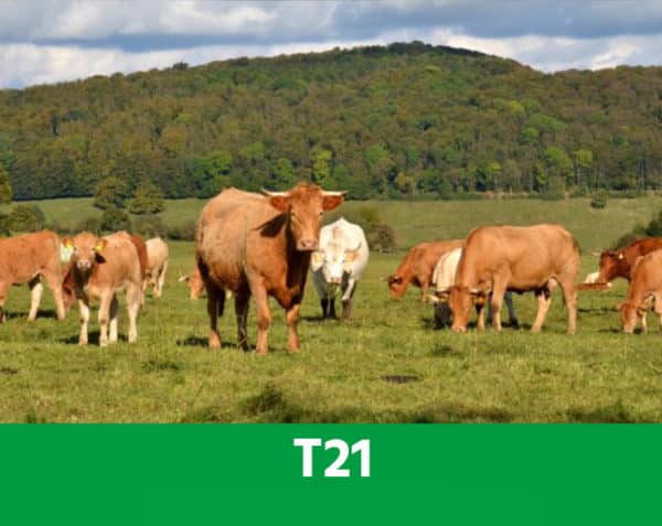 T 21 - Maintenir les défenses naturelles