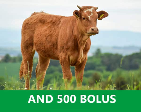 A.N.D. 500 Bolus