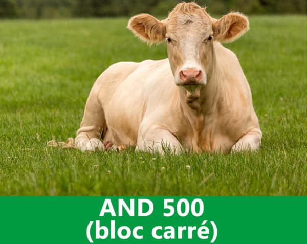A.N.D. 500 (bloc carré)